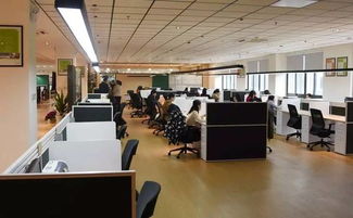 又是園區 拿下全球知名電子制造服務企業的最大商務辦公點